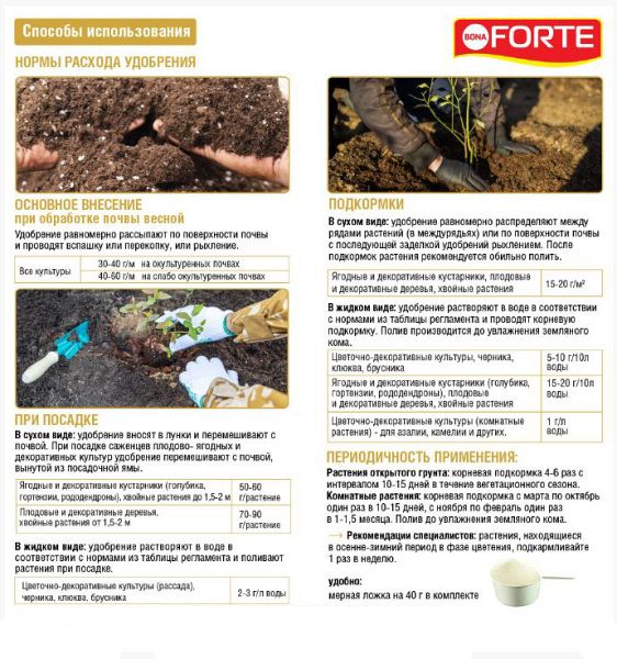 Bona Forte для голубики и рододендронов 1л